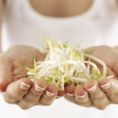 Na menopausa, aproveite os benefícios da soja
